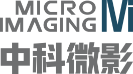 Logo关键词