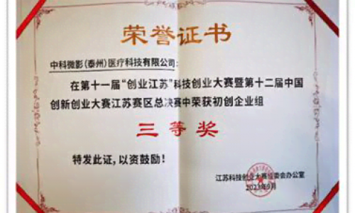 Third Prize of China Innovation and Entrepreneurship Competition, Jiangsu Region Finals